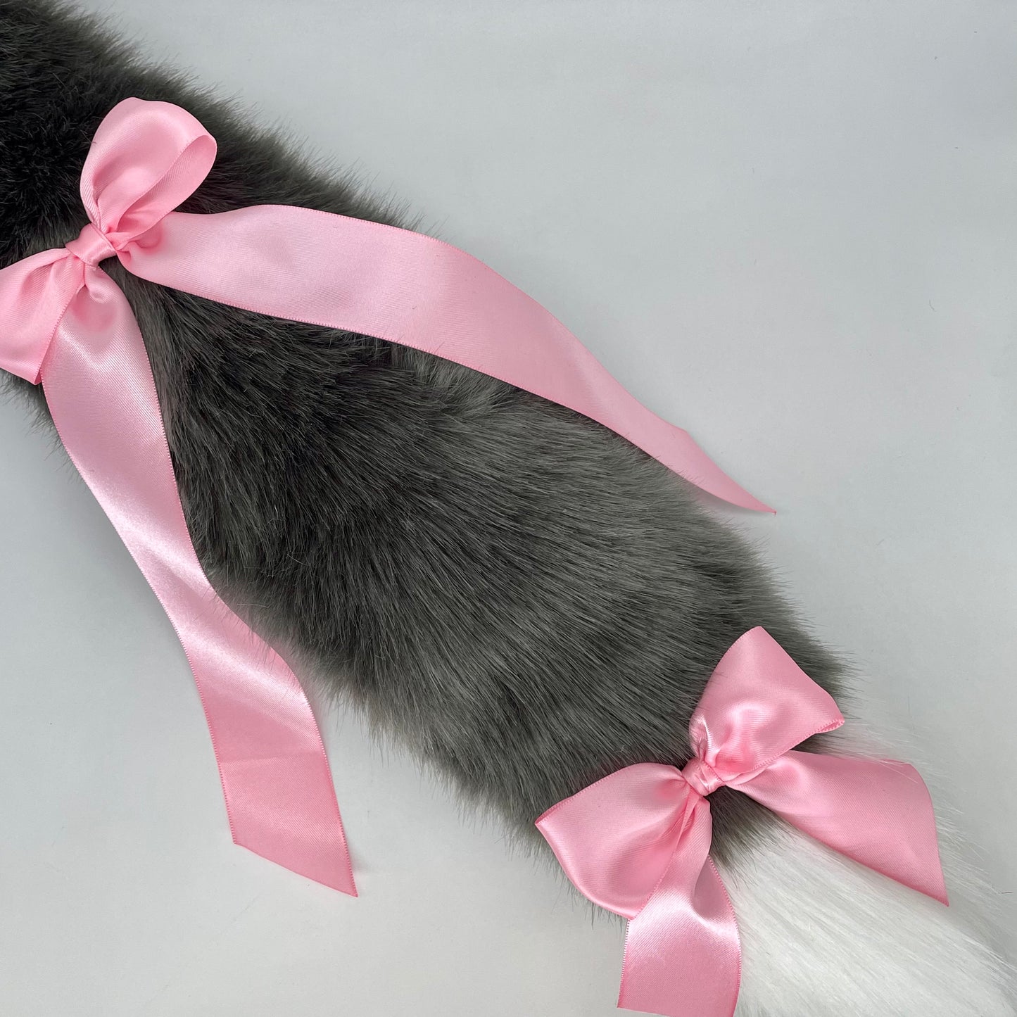 Grey Maine Coon Kitten Set