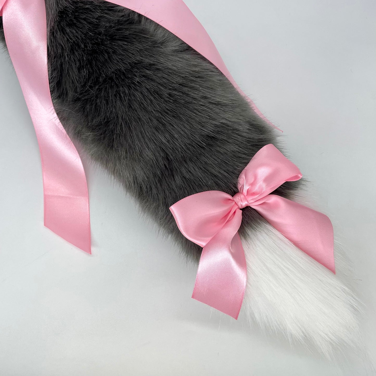 Grey Maine Coon Kitten Set