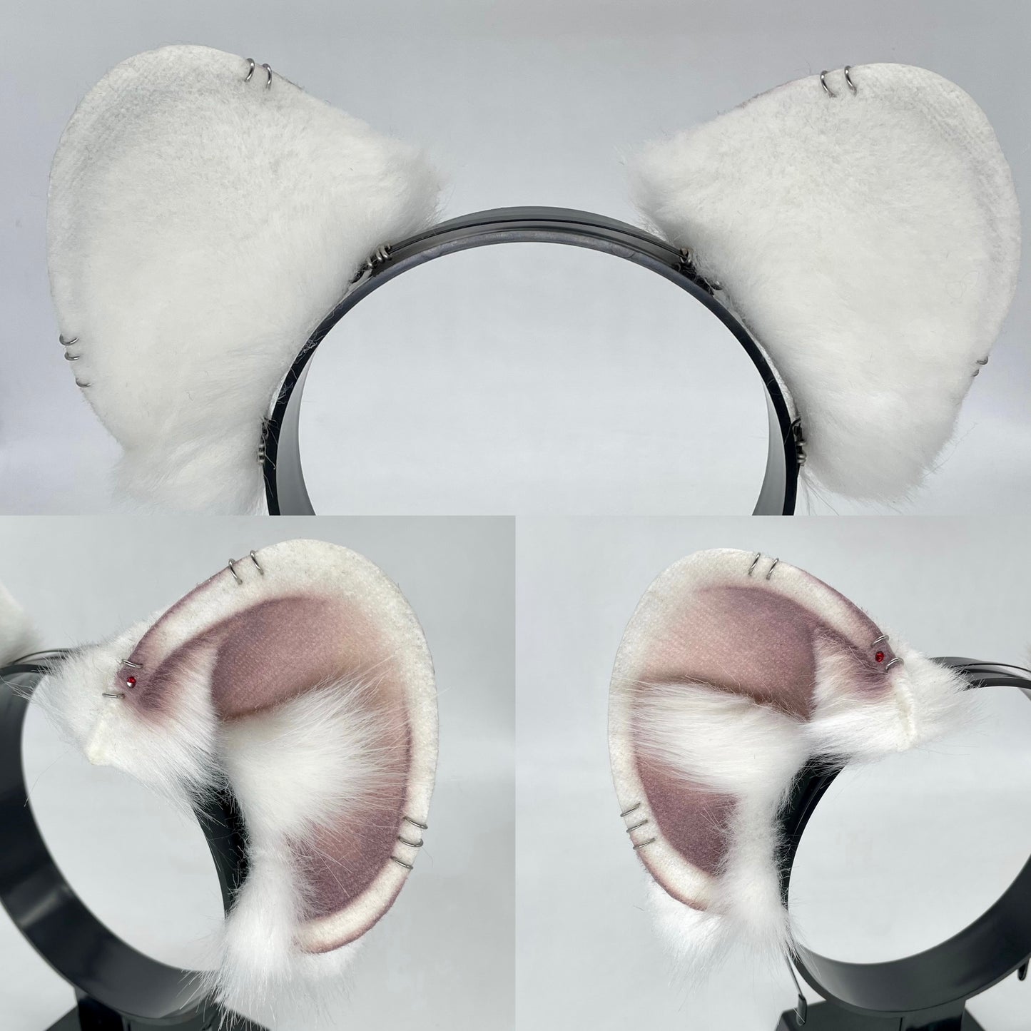 Albino Rat Ears
