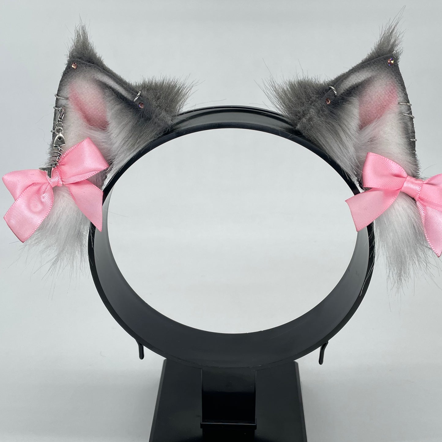 Grey Maine Coon Kitten Set