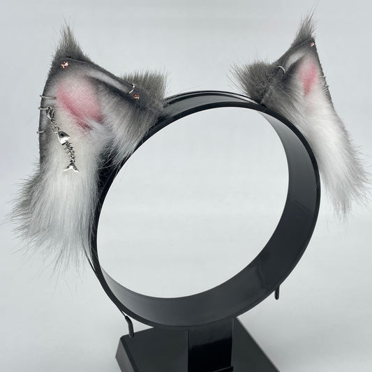 Grey Maine Coon Kitten Set