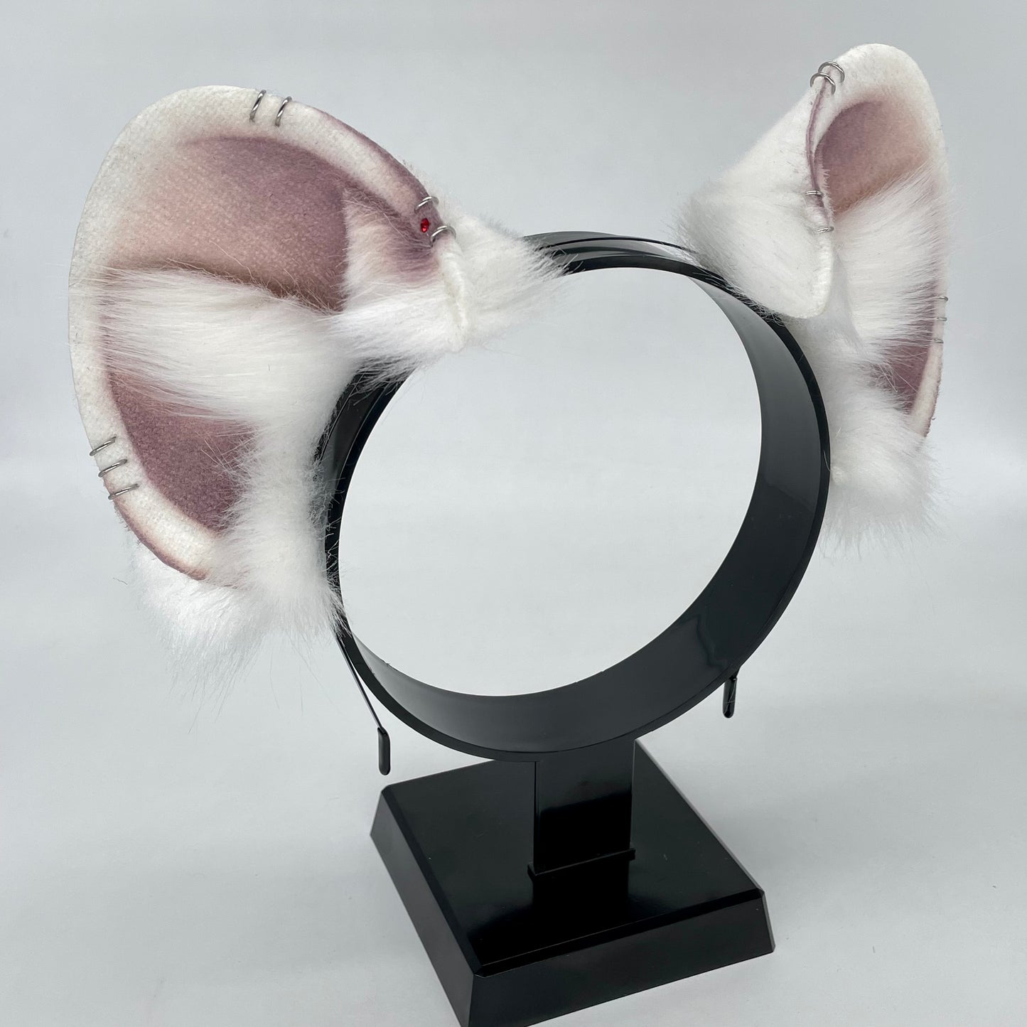 Albino Rat Ears