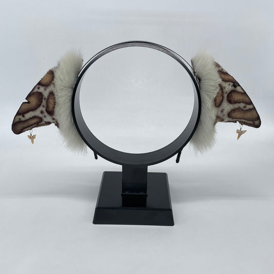 Leopard Shark Ears (Shark Fins Shape)