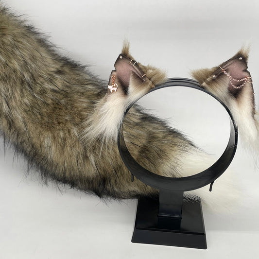 Tabby Maine Coon Kitten Set