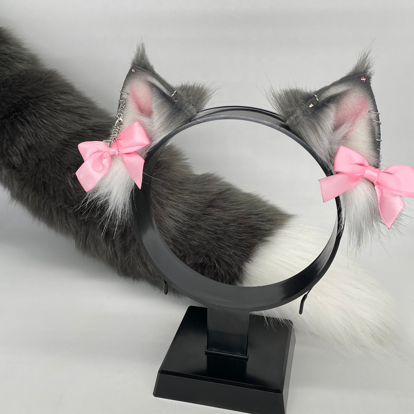 Grey Maine Coon Kitten Set