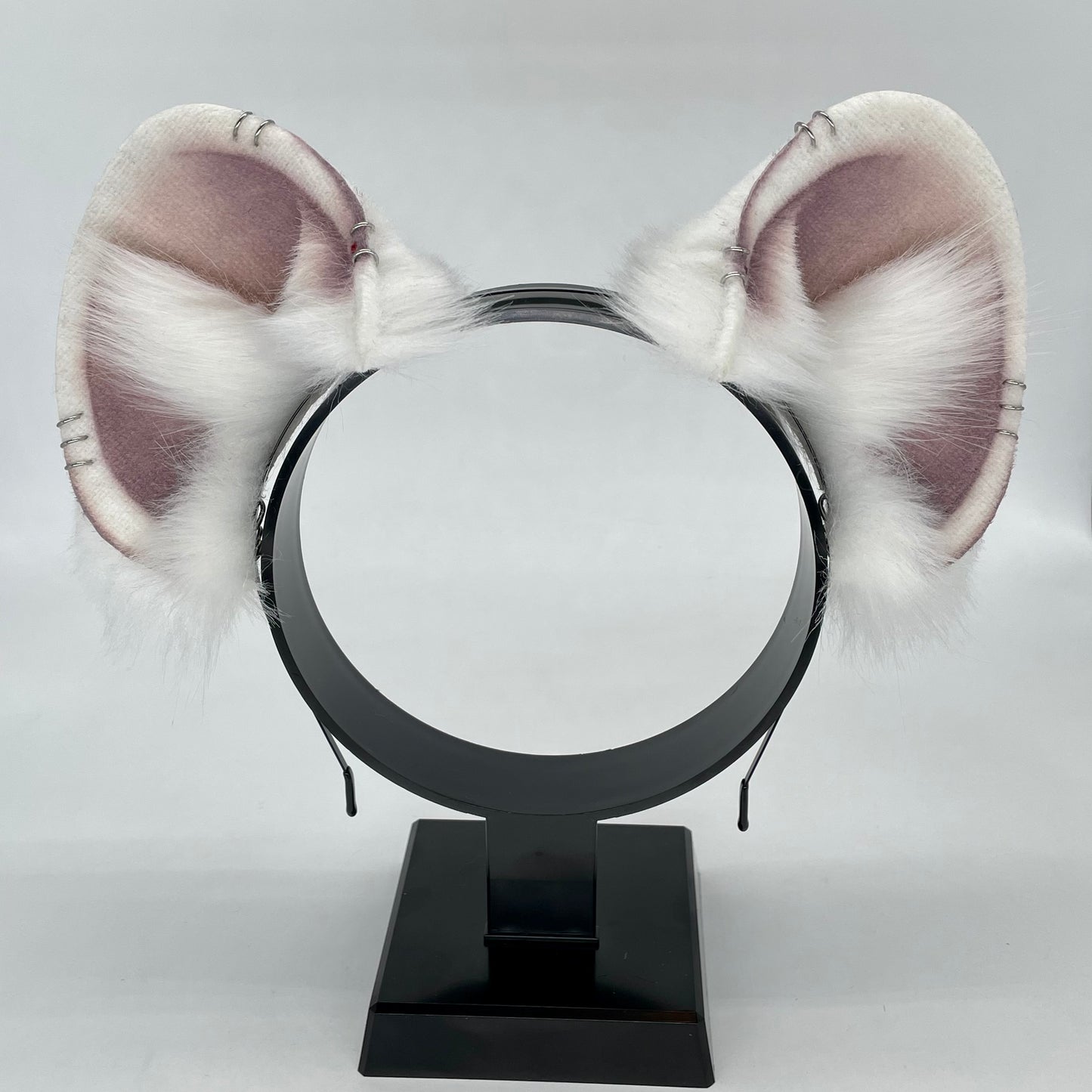Albino Rat Ears
