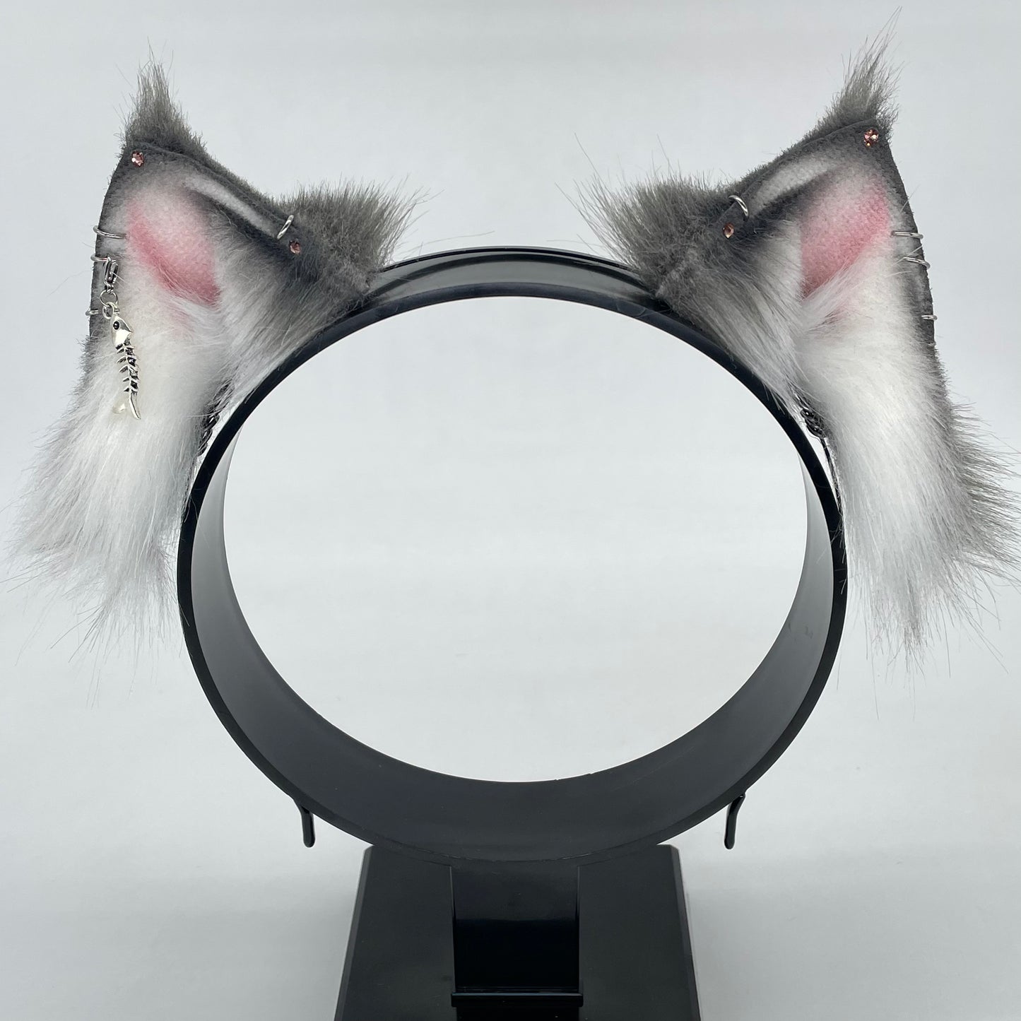 Grey Maine Coon Kitten Set