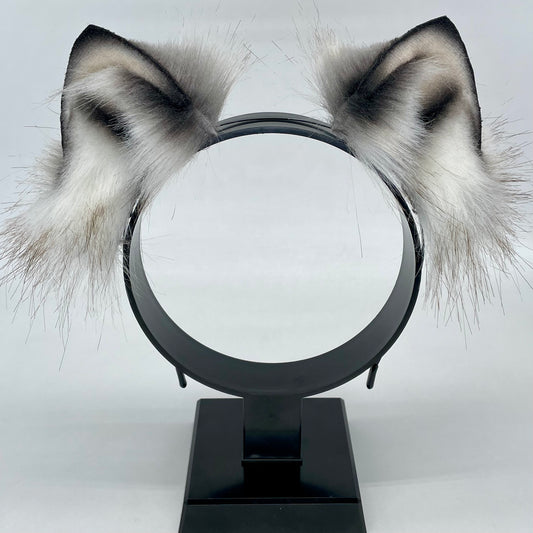 Winter Wolf Pup Ears