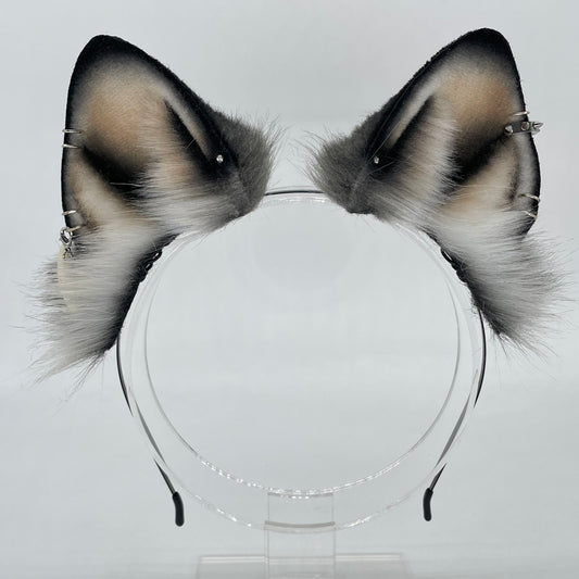 Alaskan Malamute Set