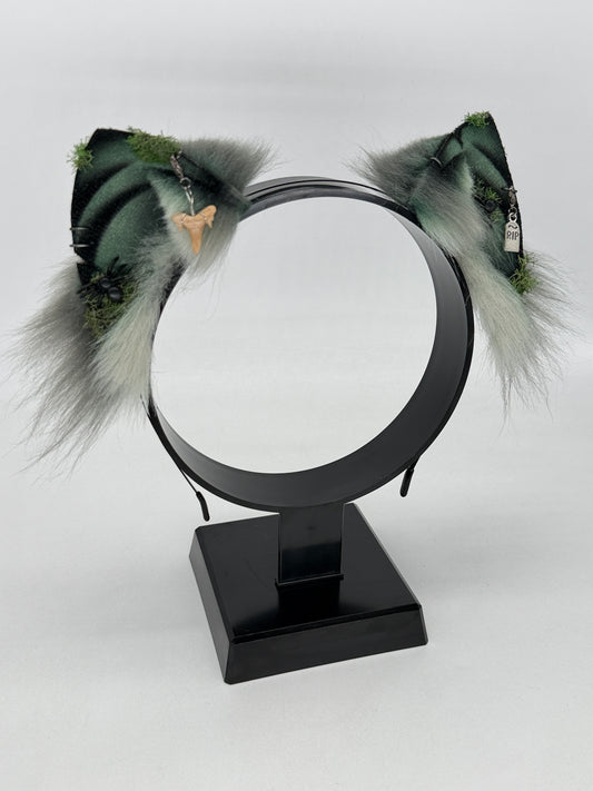 Mausoleum Shark Ears (Kitten shape)