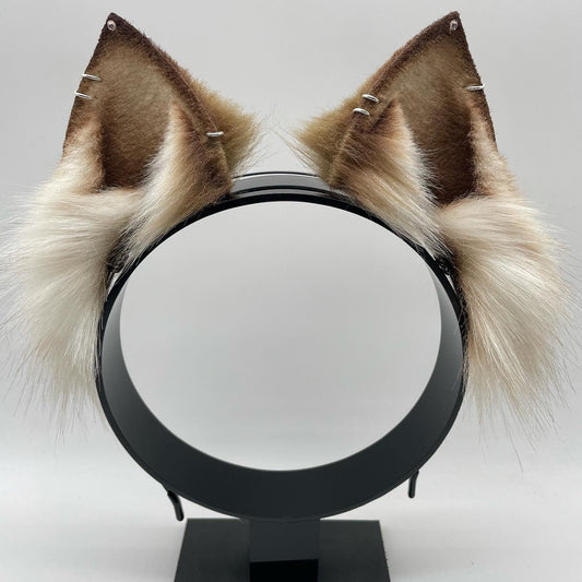 Cinnamon fluff fox kit