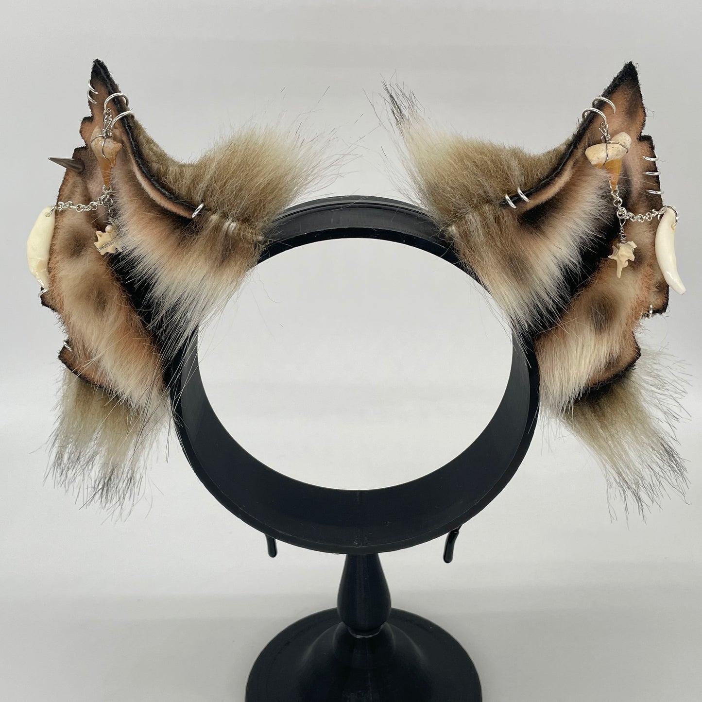 Spotted Hyena ears