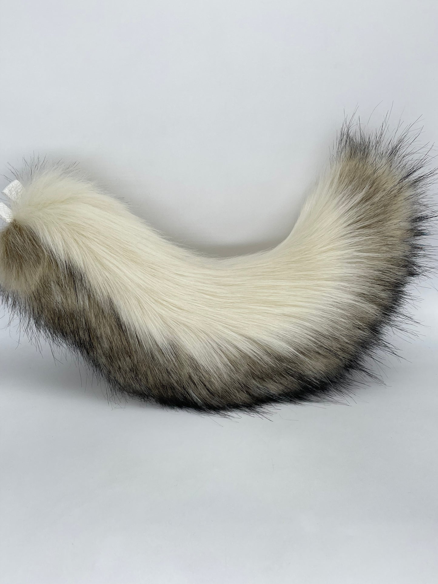 Toffee & Cream Pup Set