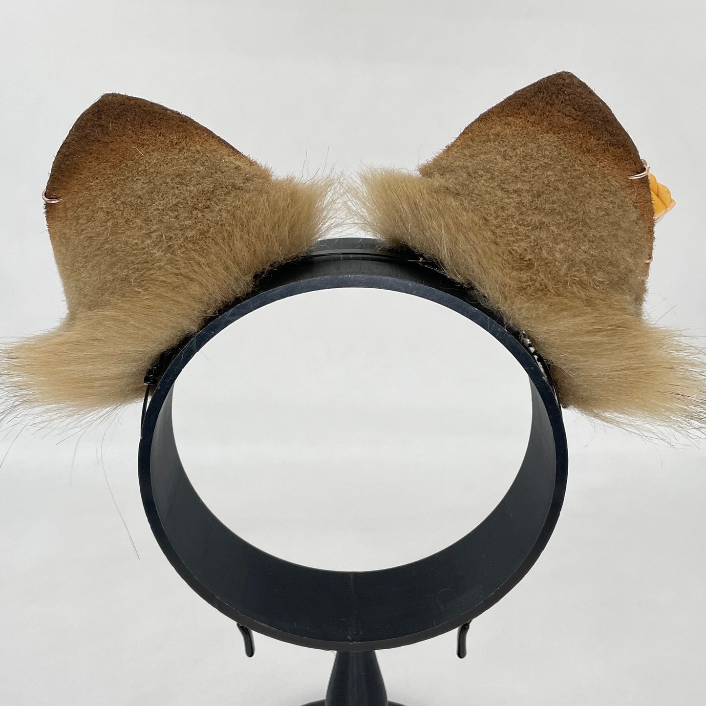 Apple Pie Wolf Pup ears