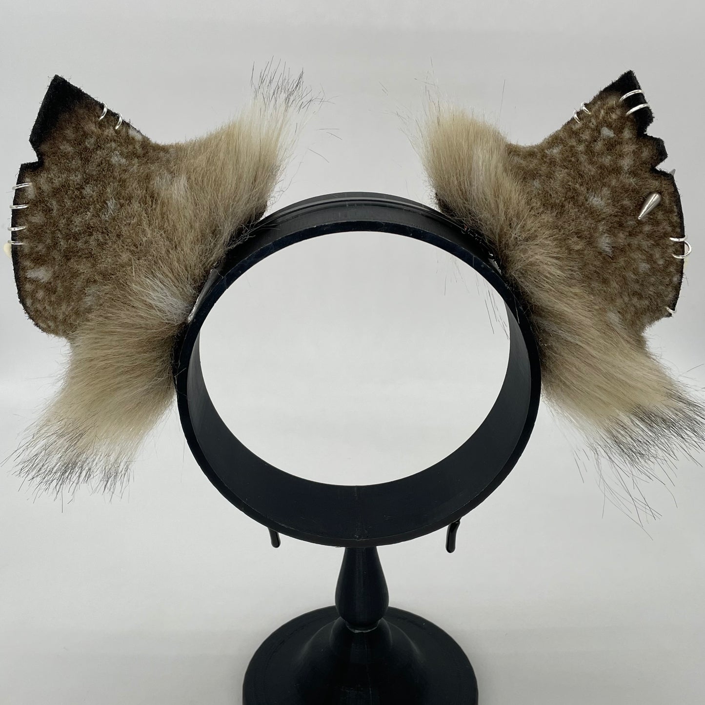 Spotted Hyena ears