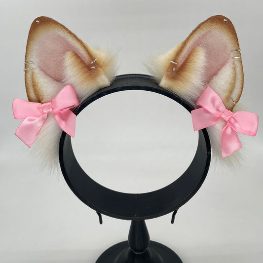 Honey Shiba Inu ears