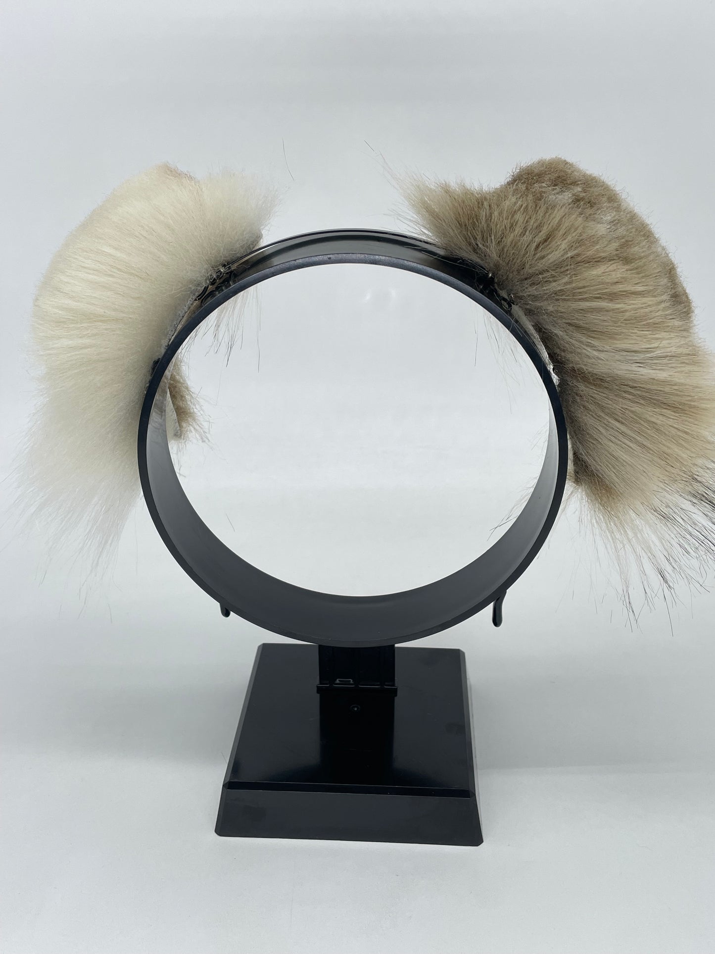 Toffee & Cream Pup Set