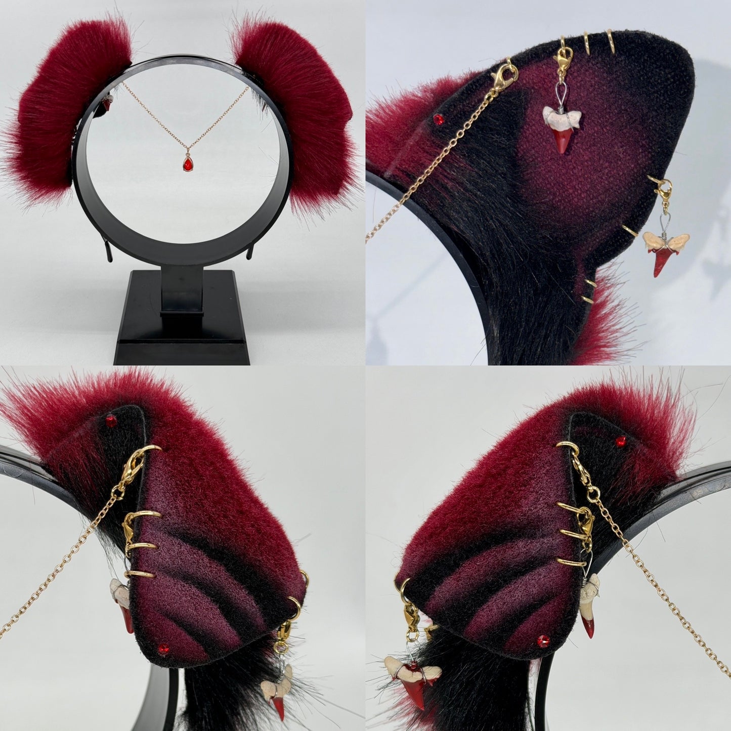Sanguinis Regalia Shark Ears (Pup shape)