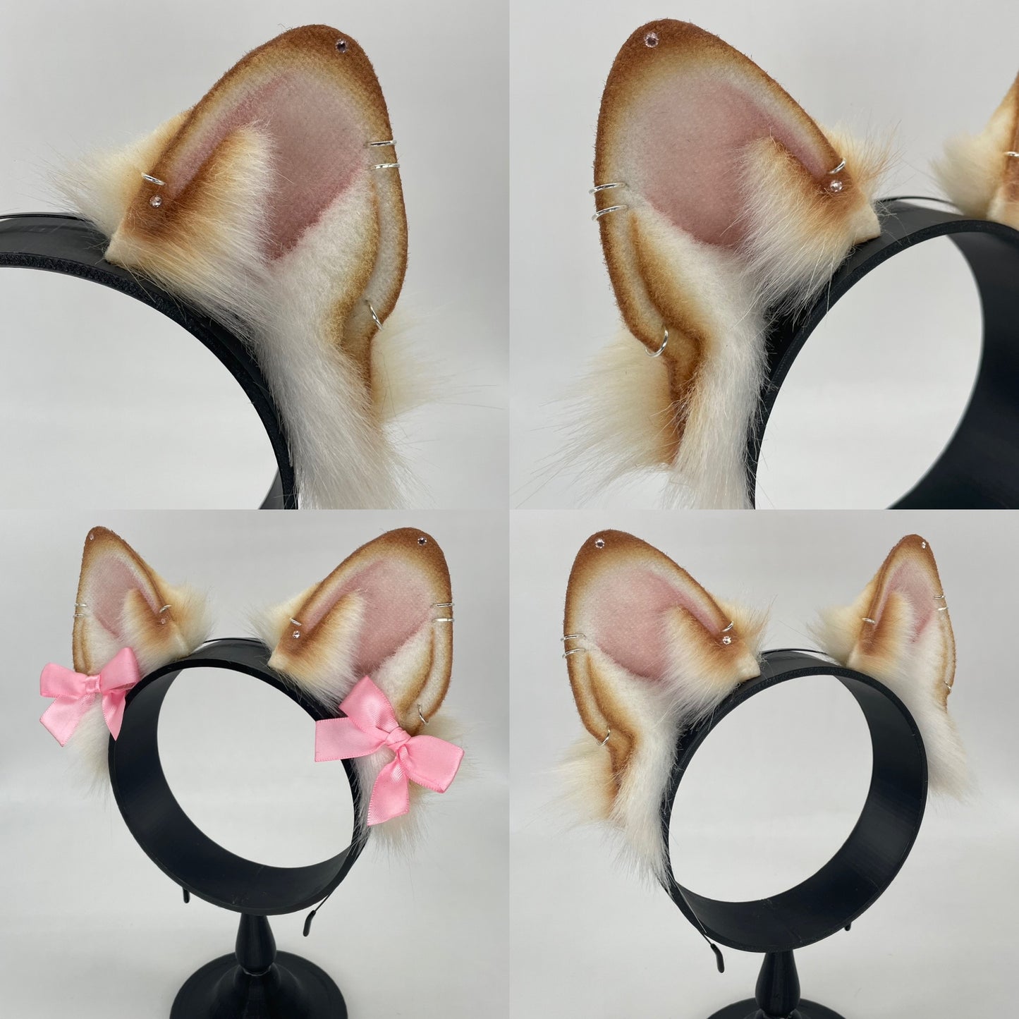 Honey Shiba Inu ears