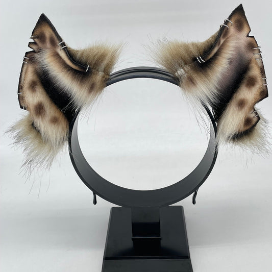 Savanna- Spotted Hyena Ears