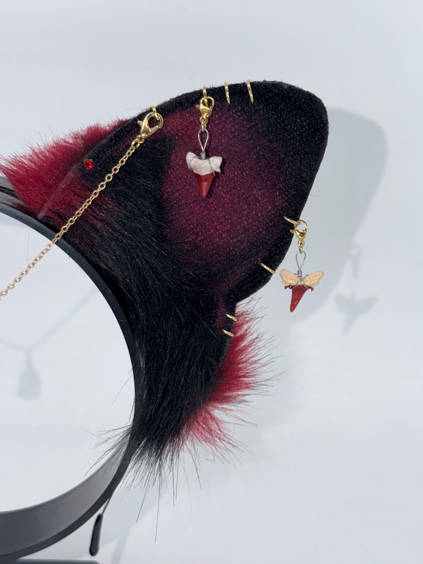 Sanguinis Regalia Shark Ears (Pup shape)