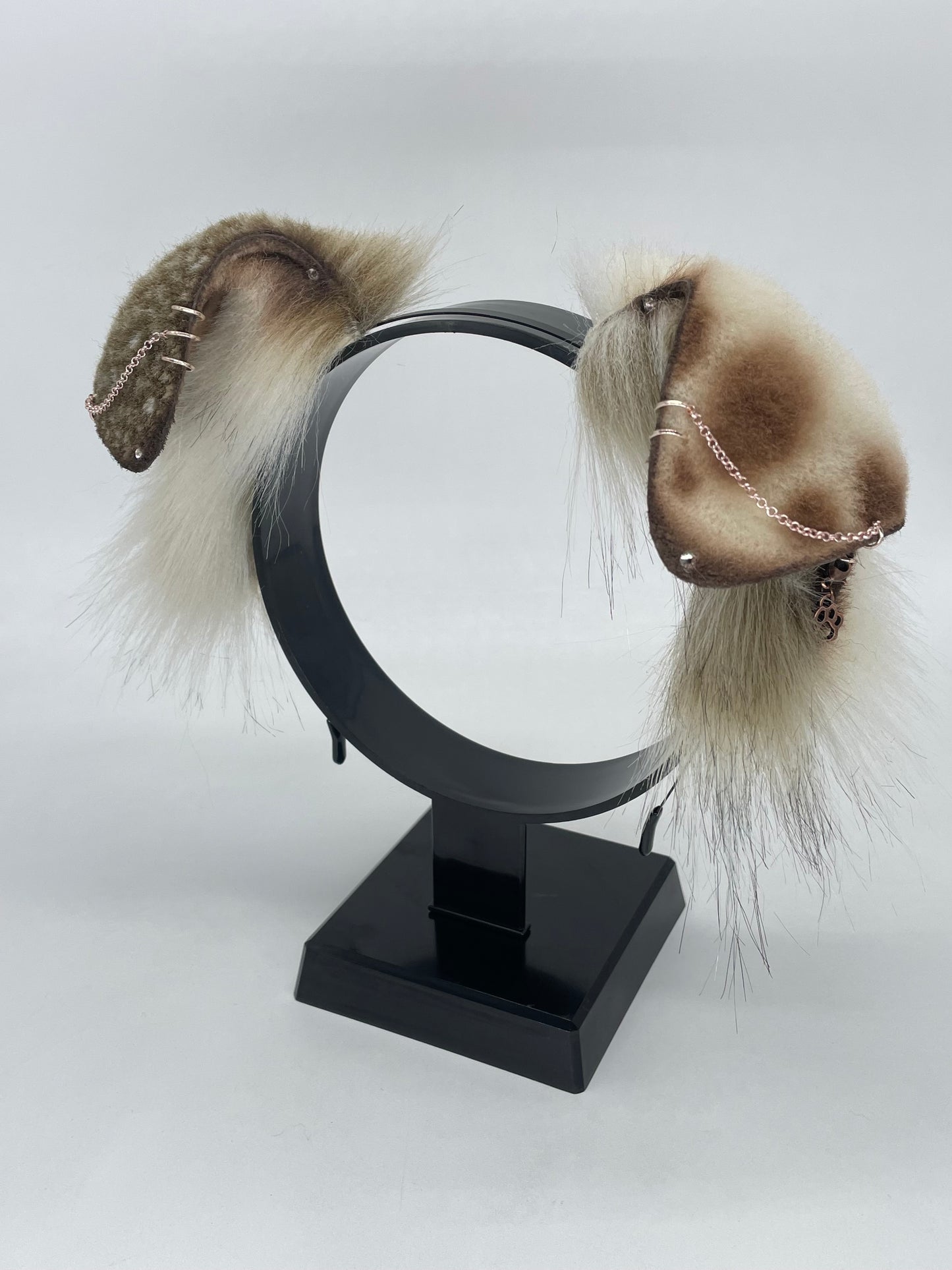 Toffee & Cream Pup Set