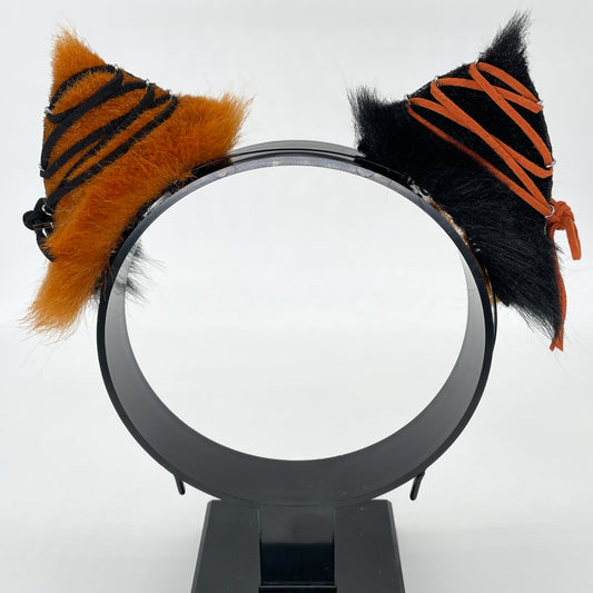 All Hallow’s Eve Maine Coon Kitten Ears