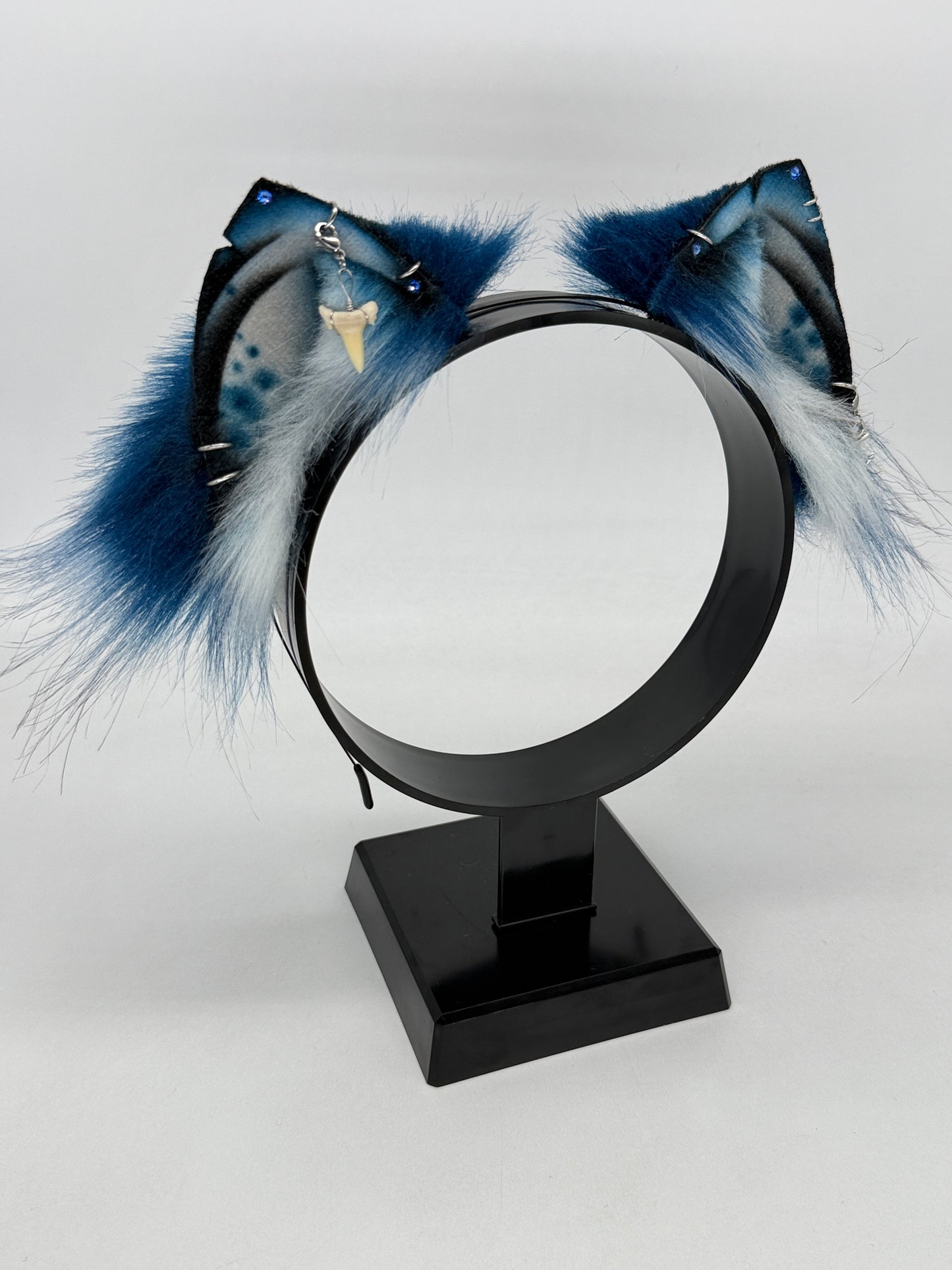 Blue Shark Ears (Kitten shape)