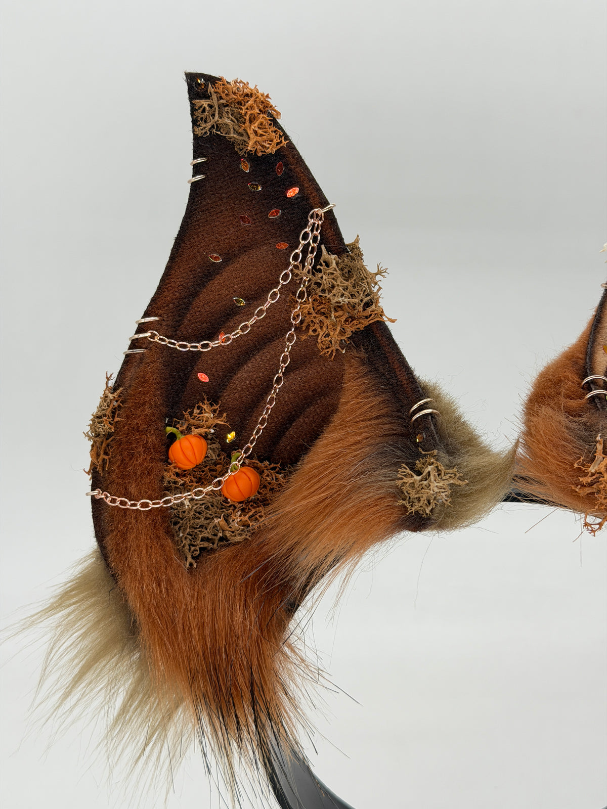 Pumpkin Patch Critters- Cathedral Bat Ears