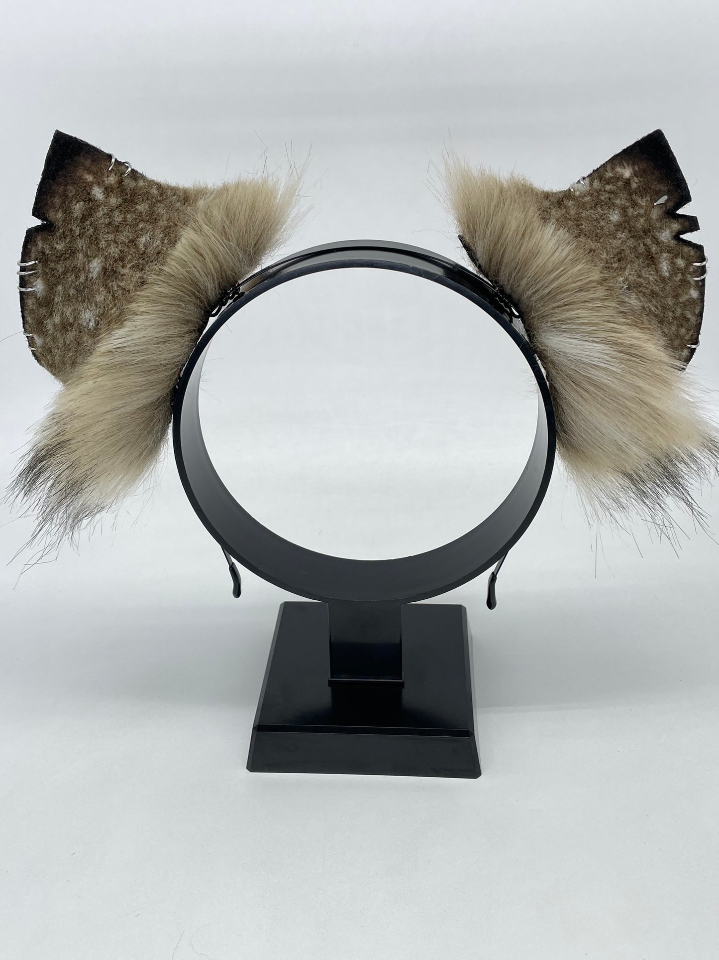 Savanna- Spotted Hyena Ears