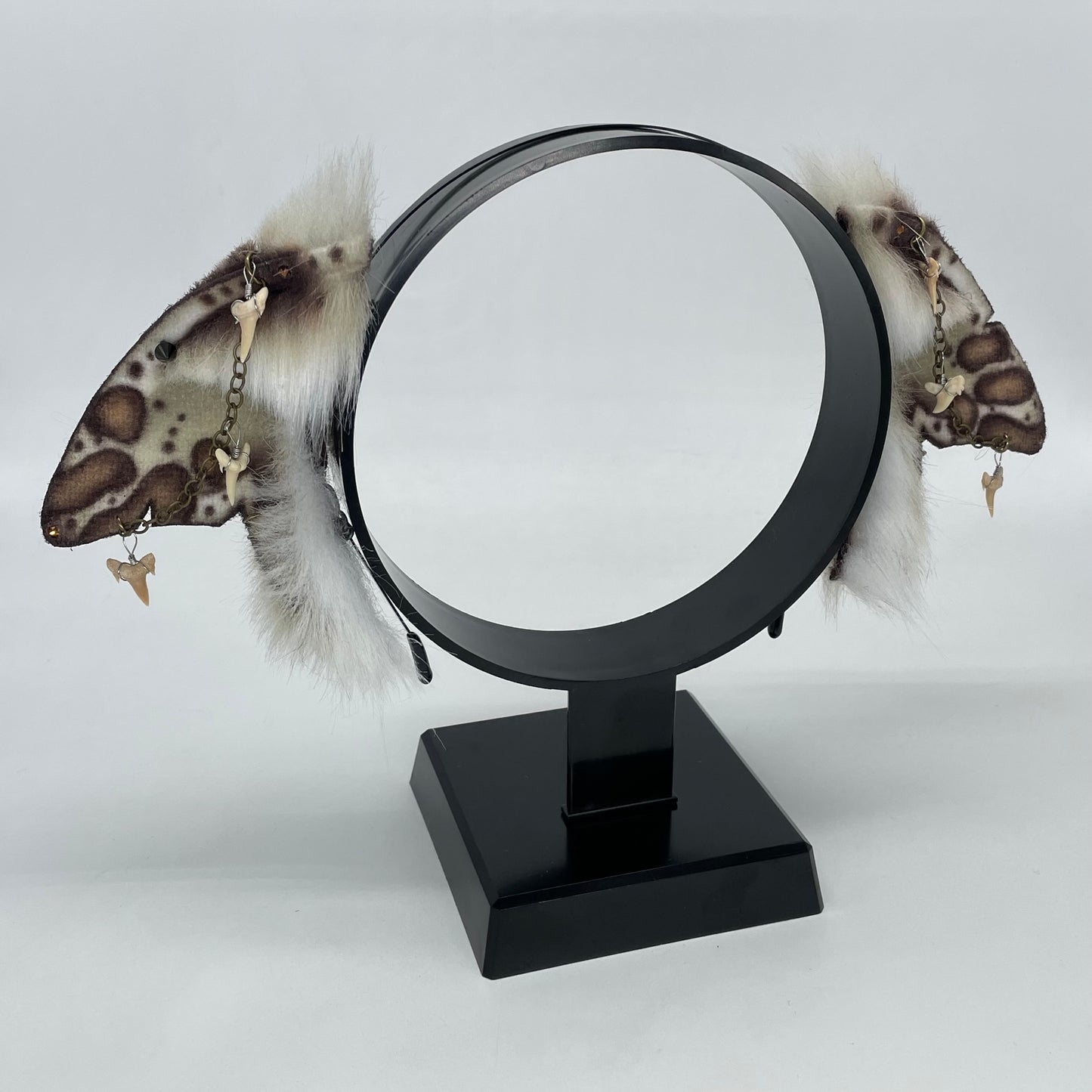 Leopard Shark Ears (Shark Fins Shape)