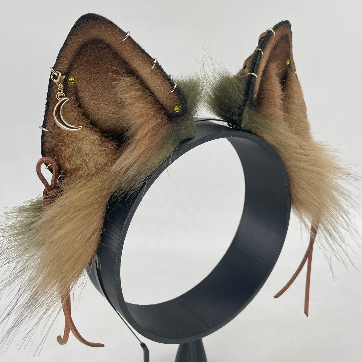 Spellbound Shiba Inu ears