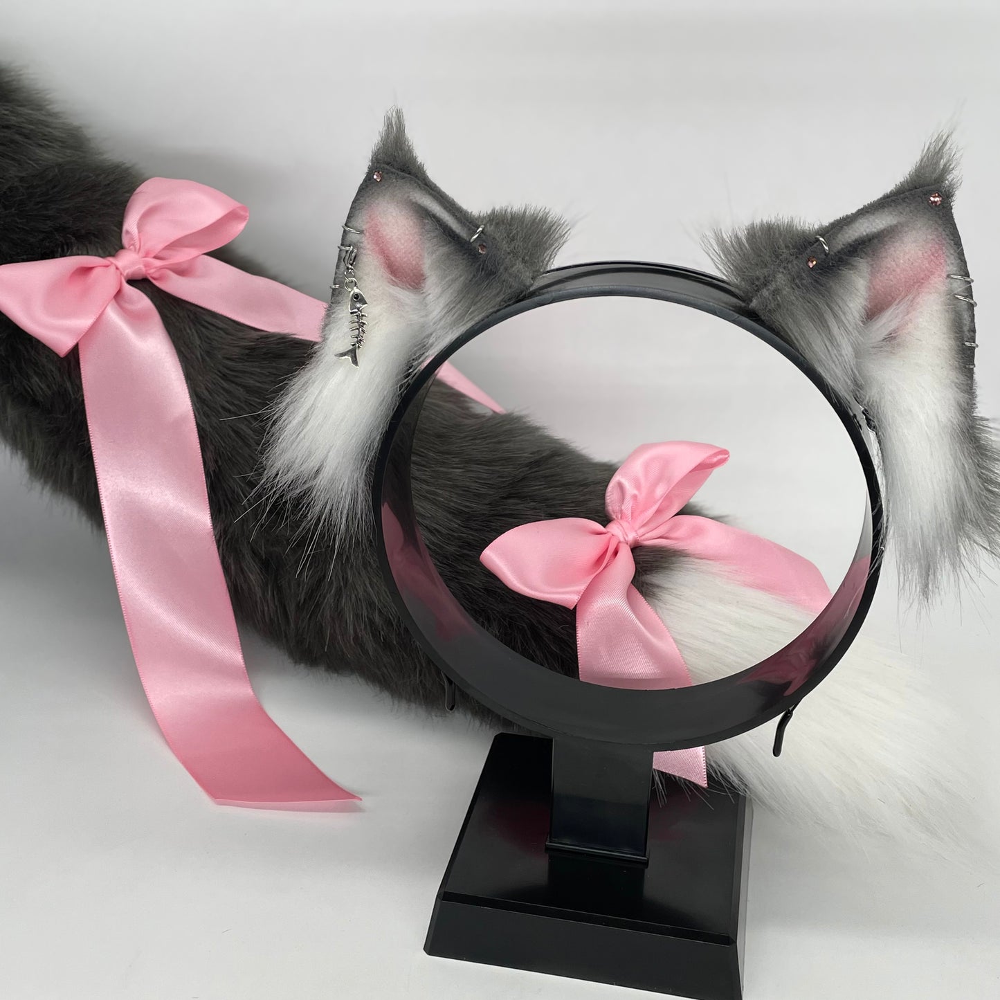 Grey Maine Coon Kitten Set
