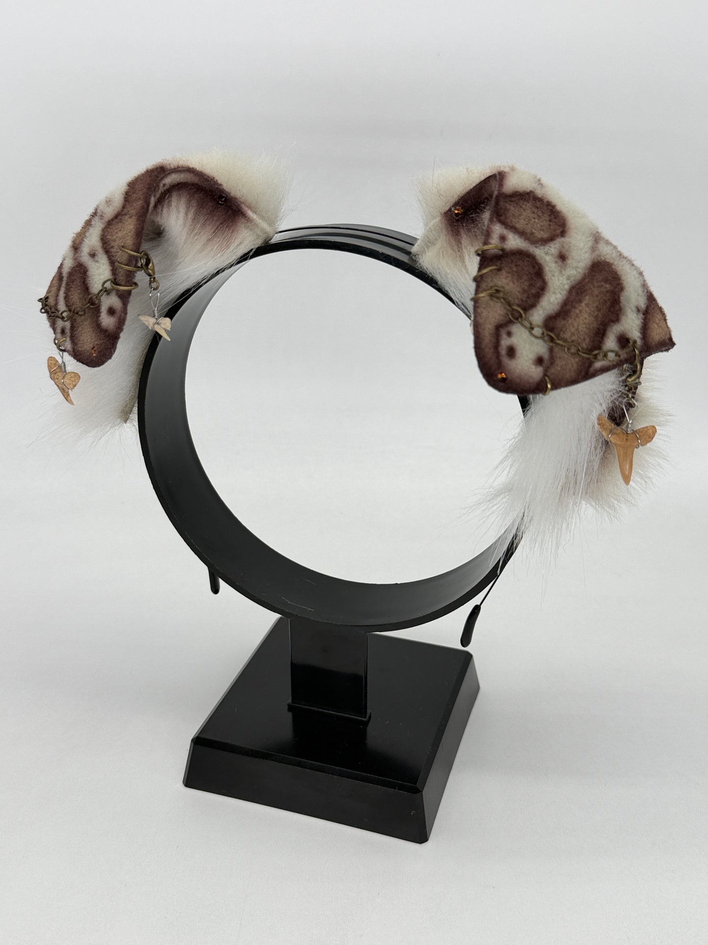 Leopard Shark Ears (Pup shape)