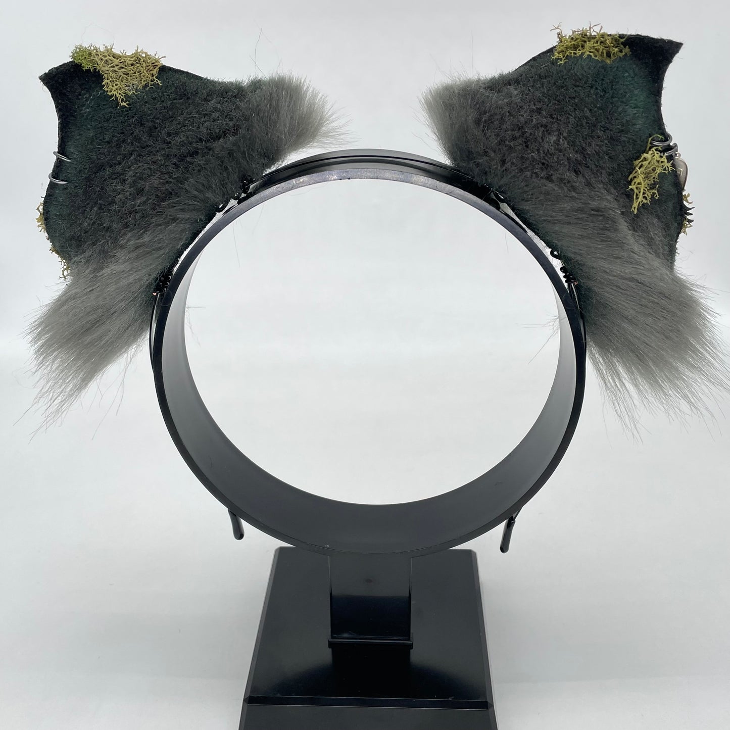 “Mausoleum Door”- Crypt Bat Ears