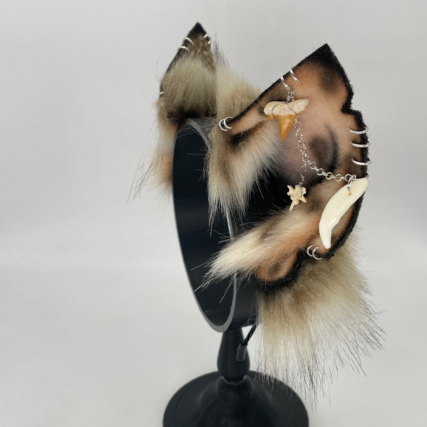 PRE-ORDER Spotted Hyena ears