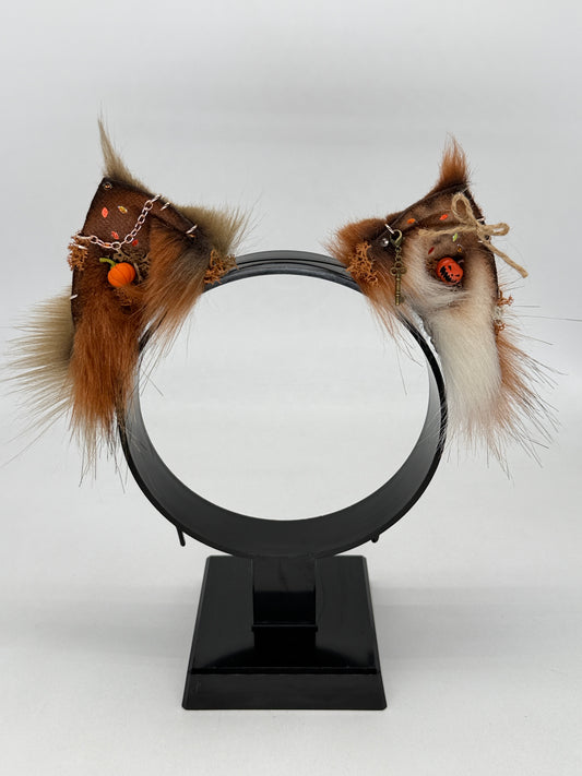 Pumpkin Patch Critters- Maine Coon Kitten Ears