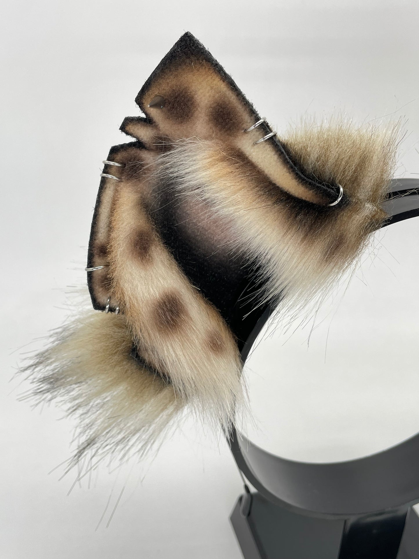 Savanna- Spotted Hyena Ears