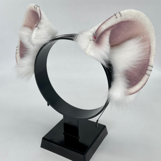 Albino Rat Ears