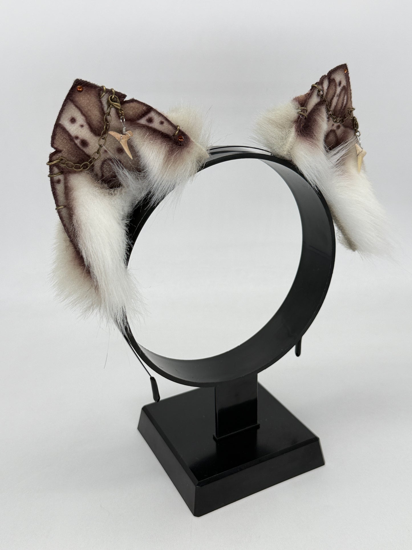 Leopard Shark Ears (Cat shape)