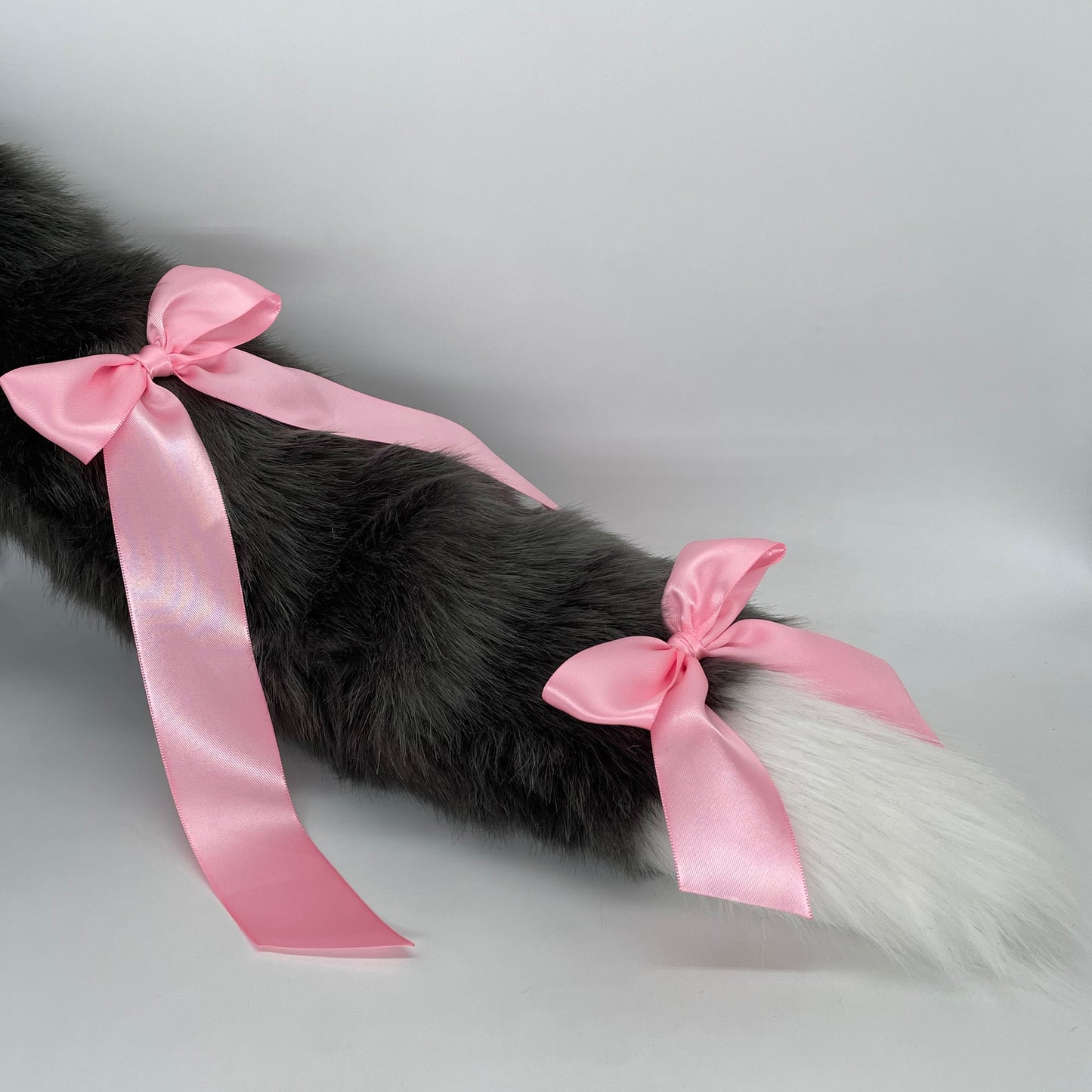Grey Maine Coon Kitten Set