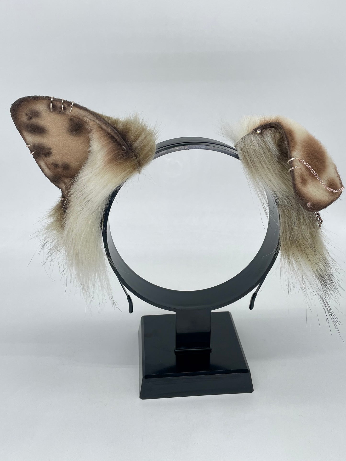 Toffee & Cream Pup Set