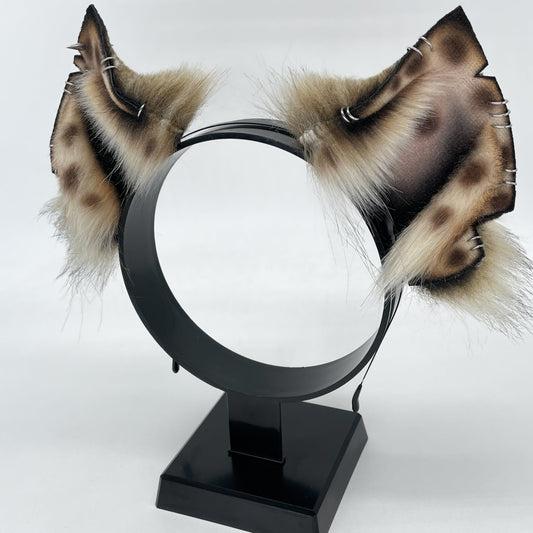 Savanna- Spotted Hyena Ears