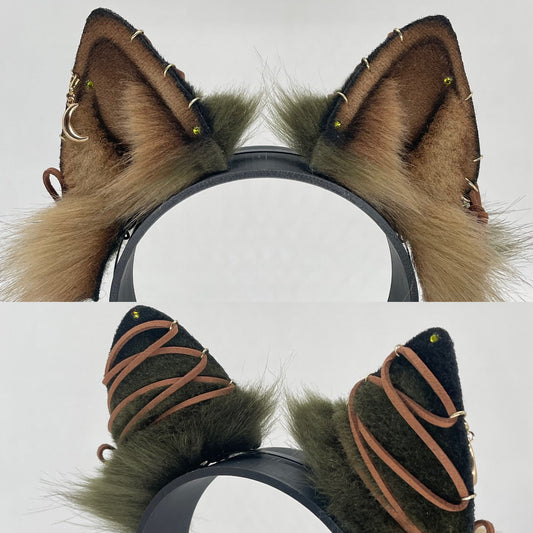 Spellbound Shiba Inu ears