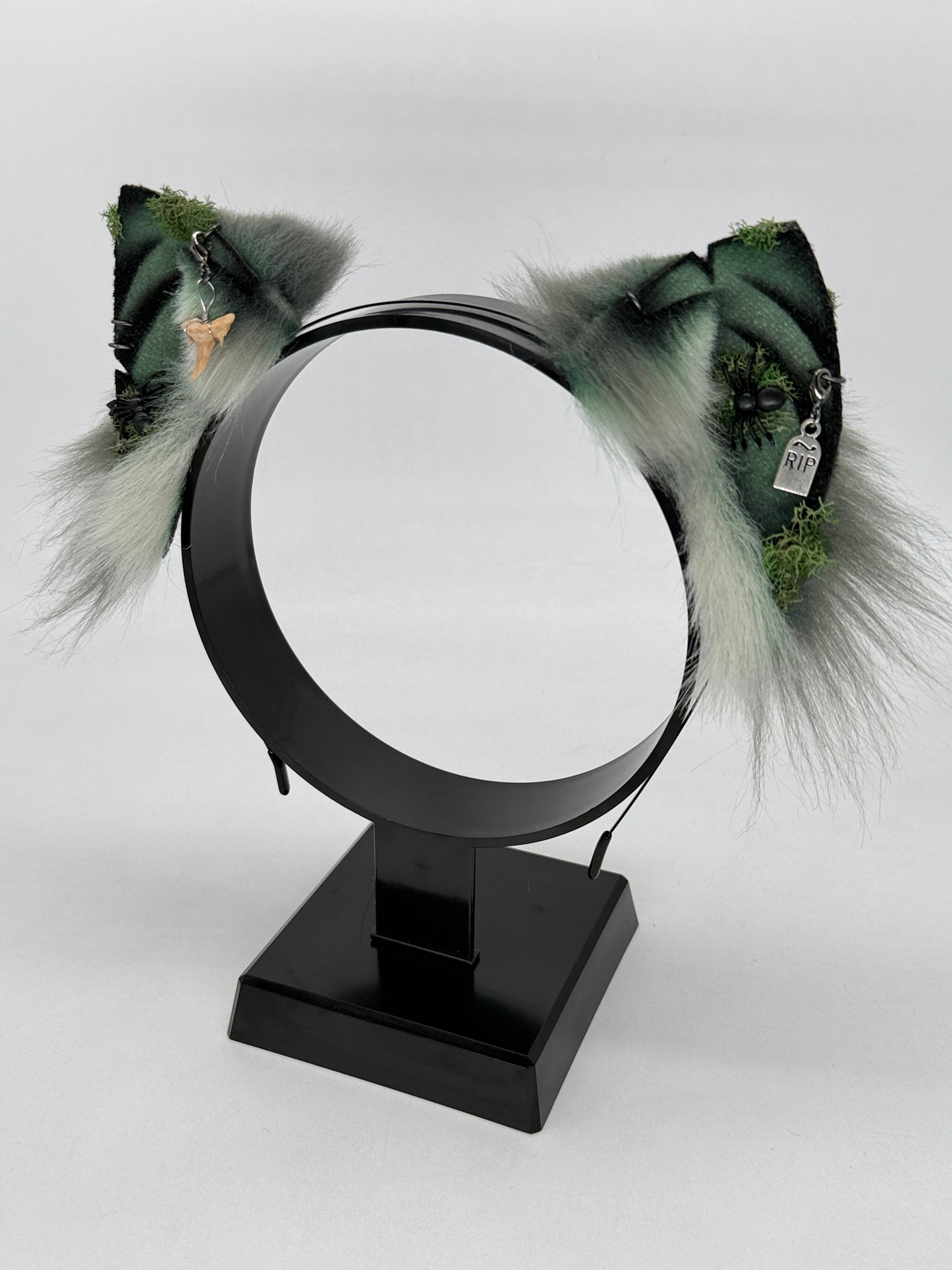 Mausoleum Shark Ears (Kitten shape)