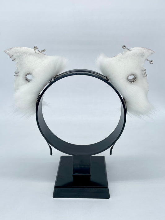 Albino Punk Bats- Belfry Bat Ears