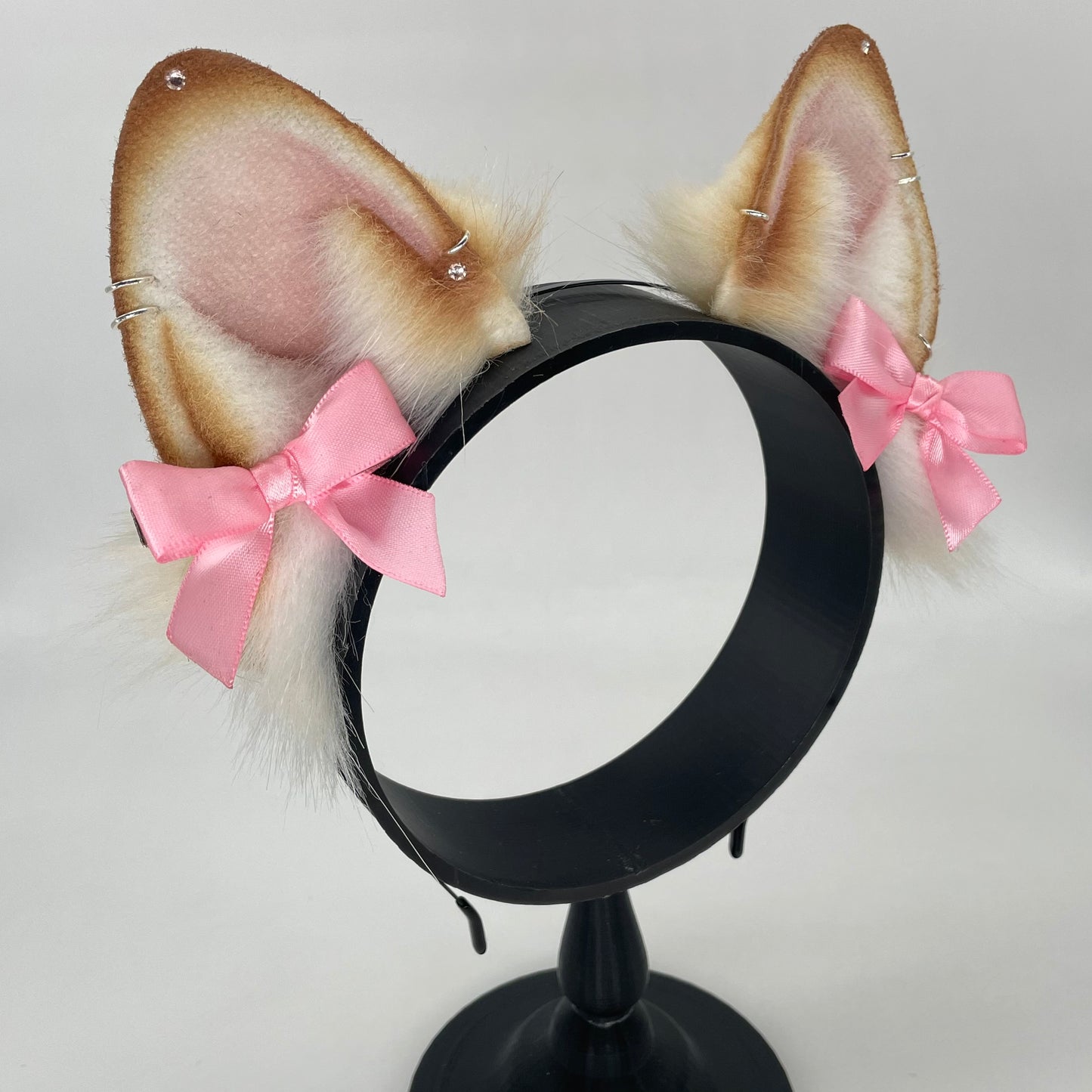 Honey Shiba Inu ears