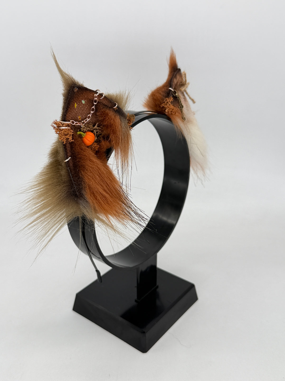 Pumpkin Patch Critters- Maine Coon Kitten Ears