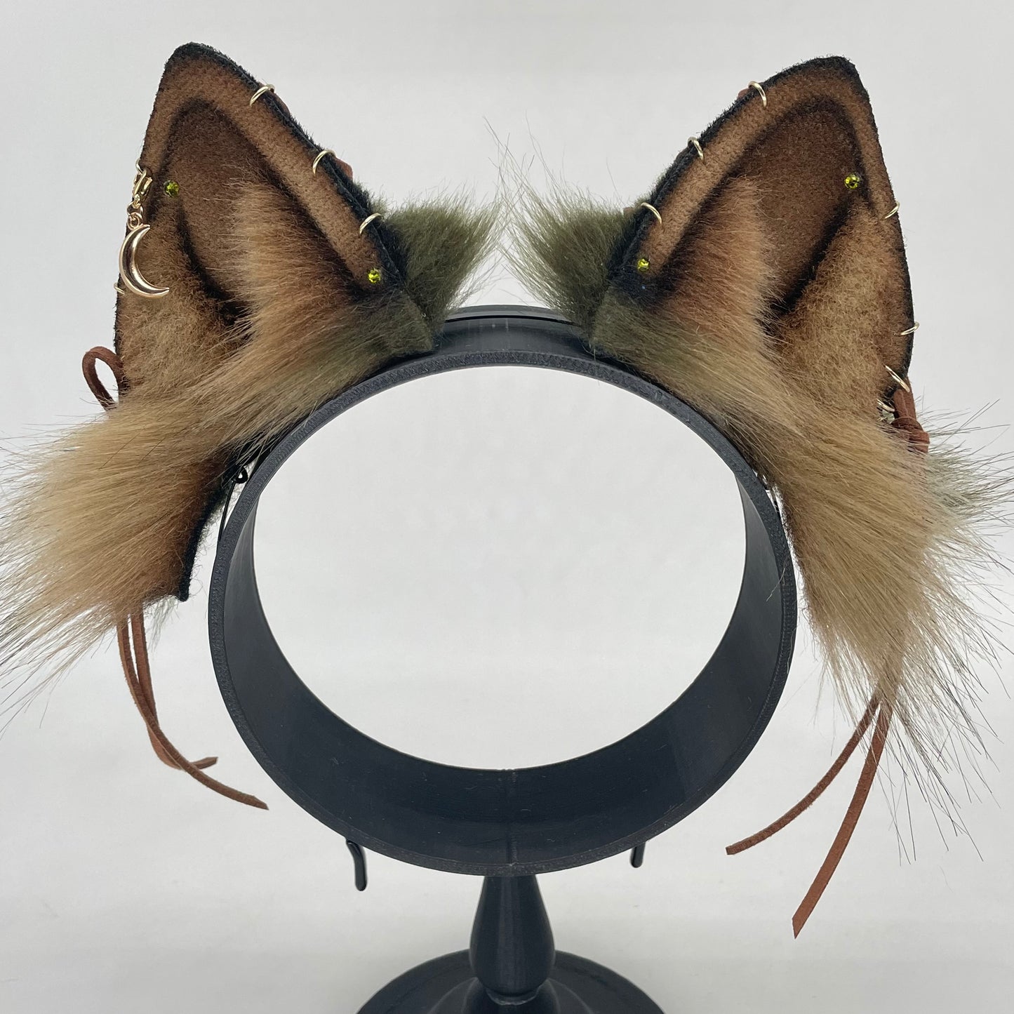 Spellbound Shiba Inu ears