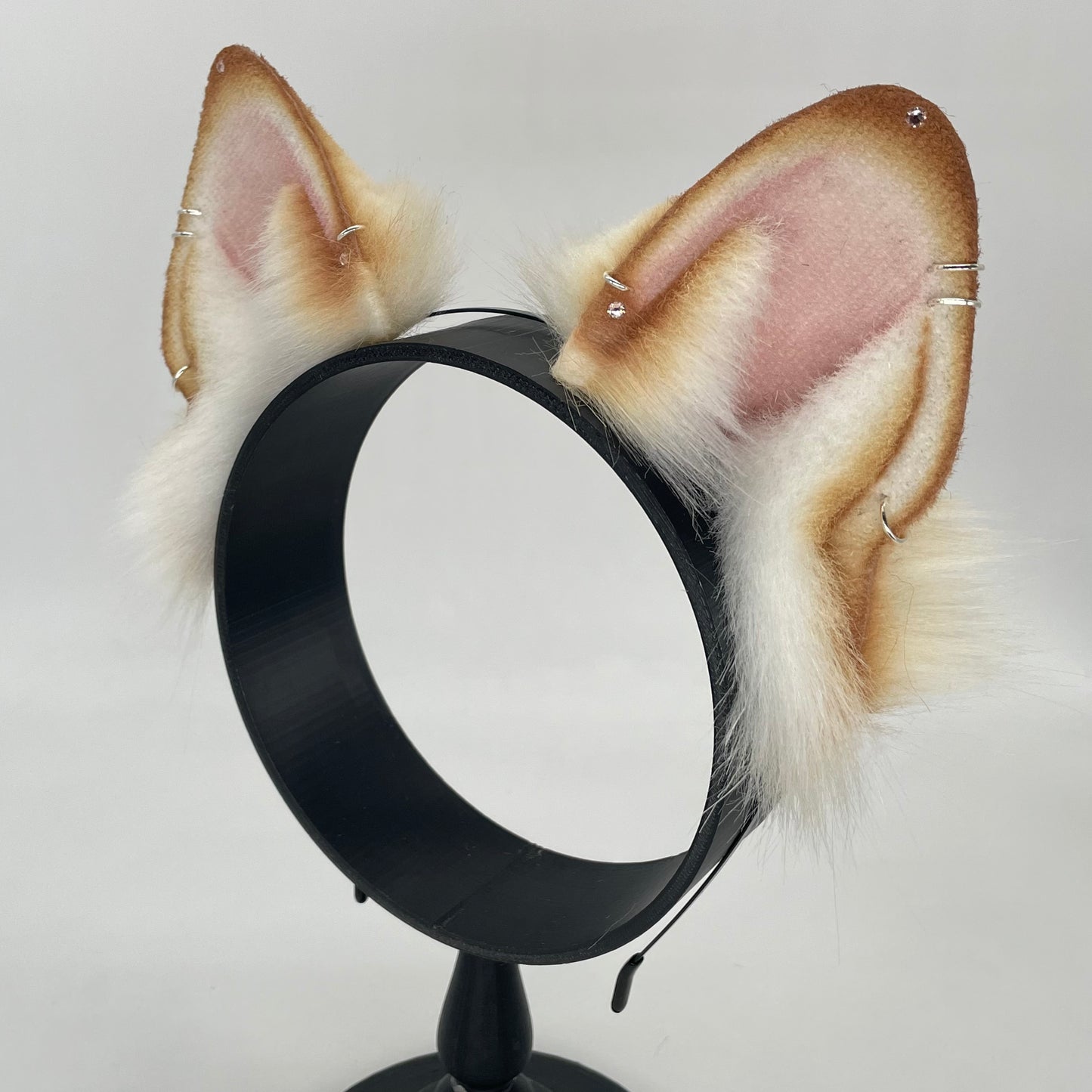 Honey Shiba Inu ears